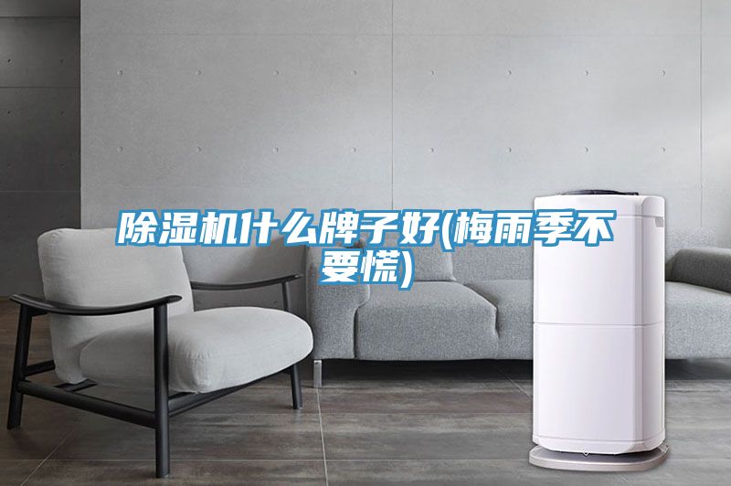 除濕機什么牌子好(梅雨季不要慌)