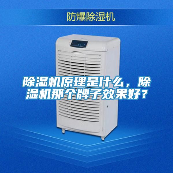 除濕機原理是什么,除濕機那個牌子效果好?