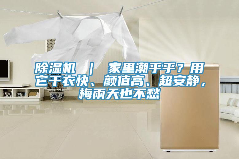 除濕機 ｜ 家里潮乎乎？用它干衣快、顏值高、超安靜，梅雨天也不愁