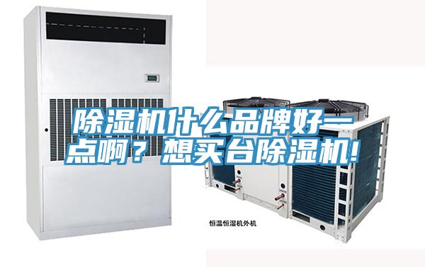 除濕機(jī)什么品牌好一點(diǎn)啊？想買臺(tái)除濕機(jī)!