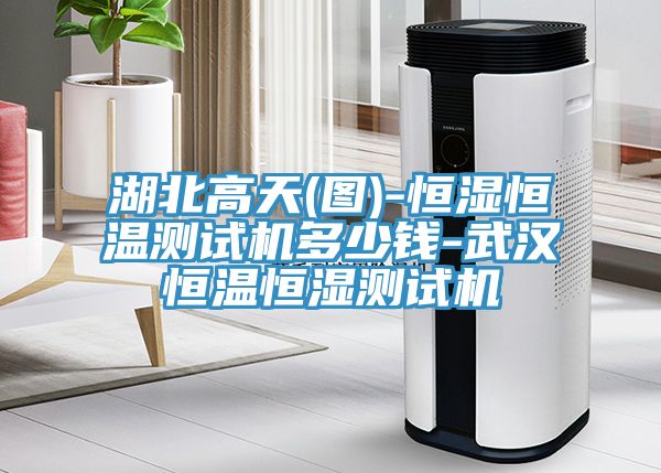 湖北高天(圖)-恒濕恒溫測(cè)試機(jī)多少錢-武漢恒溫恒濕測(cè)試機(jī)