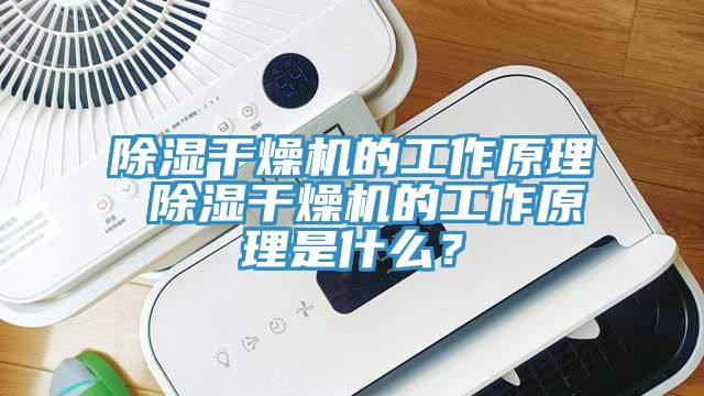 除濕干燥機(jī)的工作原理 除濕干燥機(jī)的工作原理是什么？