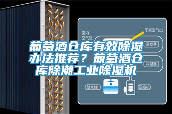 葡萄酒倉庫有效除濕辦法推薦？葡萄酒倉庫除潮工業除濕機