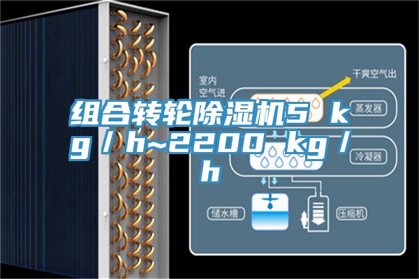 組合轉(zhuǎn)輪除濕機(jī)5 kg／h~2200 kg／h