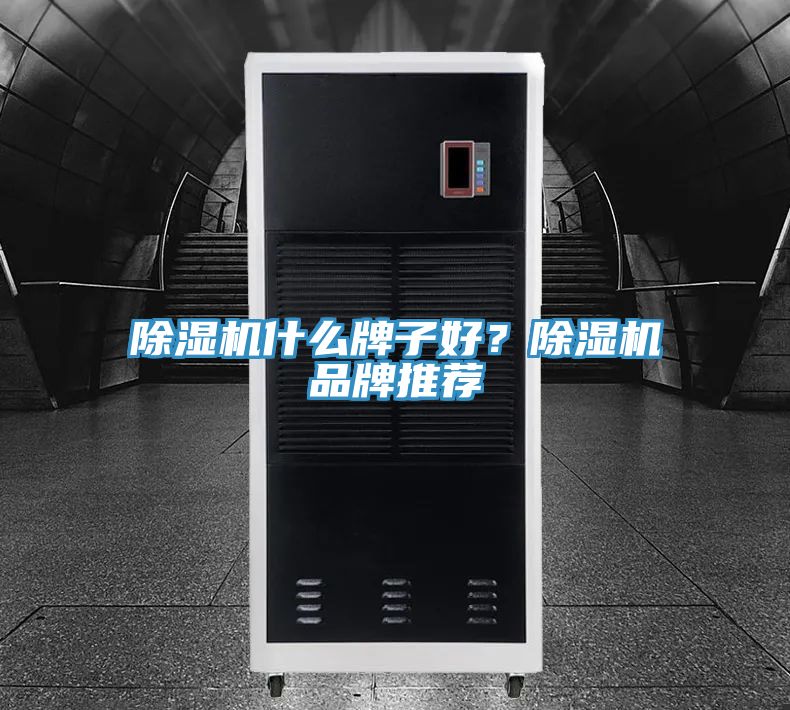 除濕機(jī)什么牌子好？除濕機(jī)品牌推薦
