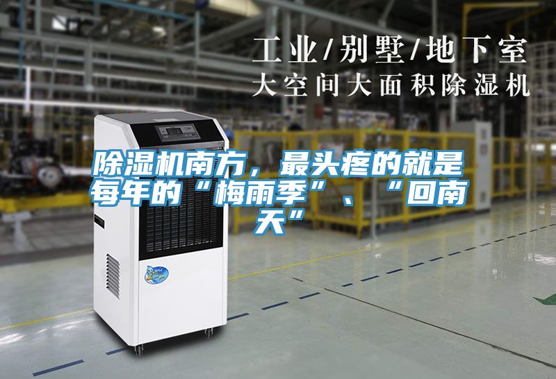 除濕機南方，最頭疼的就是每年的“梅雨季”、“回南天”
