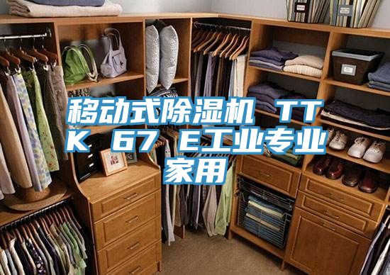 移動式除濕機(jī) TTK 67 E工業(yè)專業(yè)家用