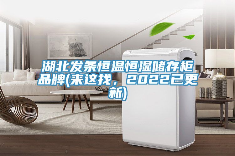 湖北發(fā)條恒溫恒濕儲(chǔ)存柜品牌(來這找，2022已更新)