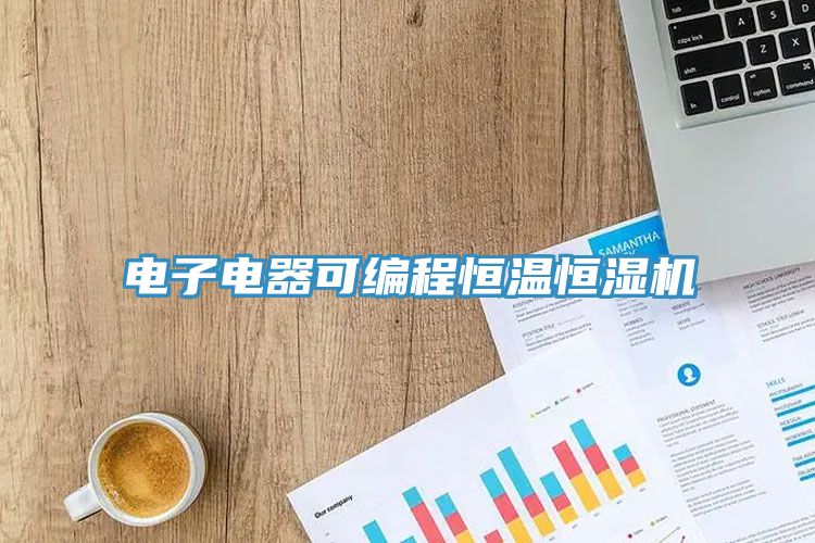 電子電器可編程恒溫恒濕機