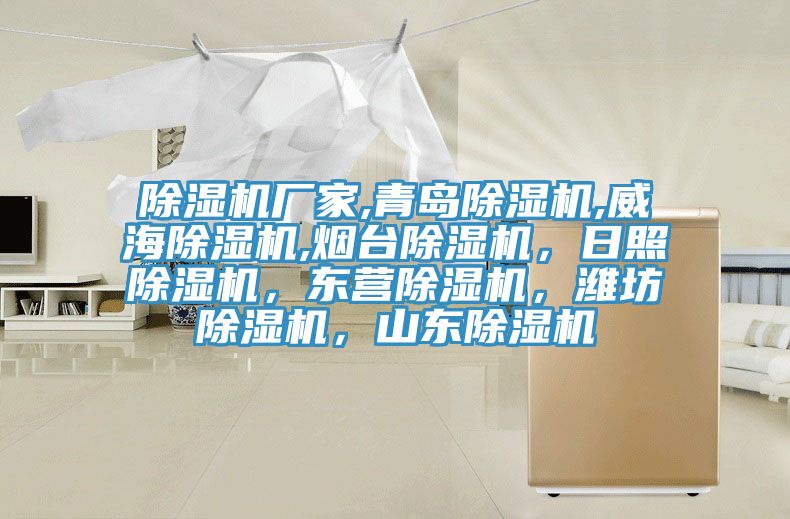除濕機(jī)廠家,青島除濕機(jī),威海除濕機(jī),煙臺(tái)除濕機(jī)，日照除濕機(jī)，東營(yíng)除濕機(jī)，濰坊除濕機(jī)，山東除濕機(jī)
