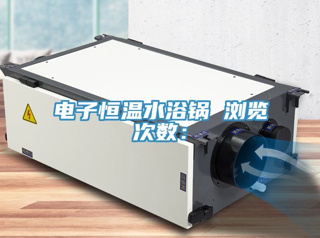 電子恒溫水浴鍋　　瀏覽次數：