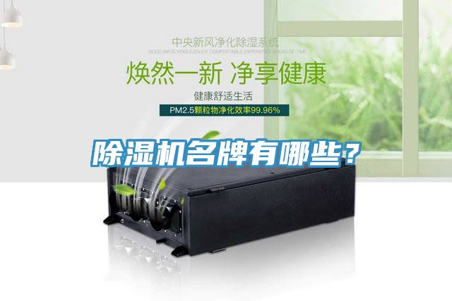 除濕機名牌有哪些？