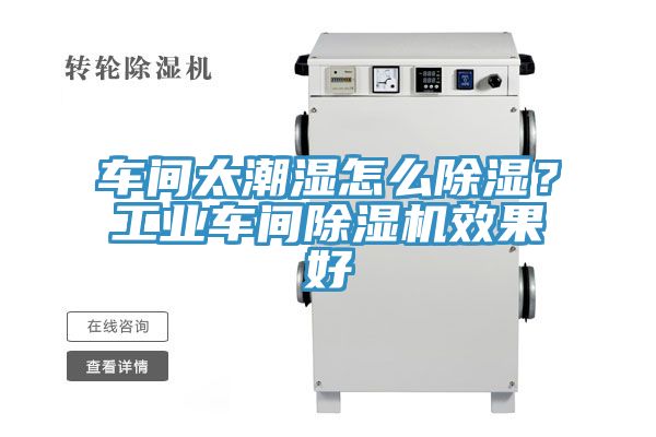 車間太潮濕怎么除濕？工業車間除濕機效果好