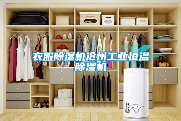 衣服除濕機滄州工業恒溫除濕機