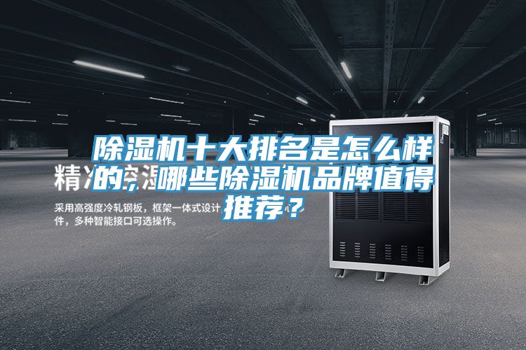 除濕機(jī)十大排名是怎么樣的，哪些除濕機(jī)品牌值得推薦？