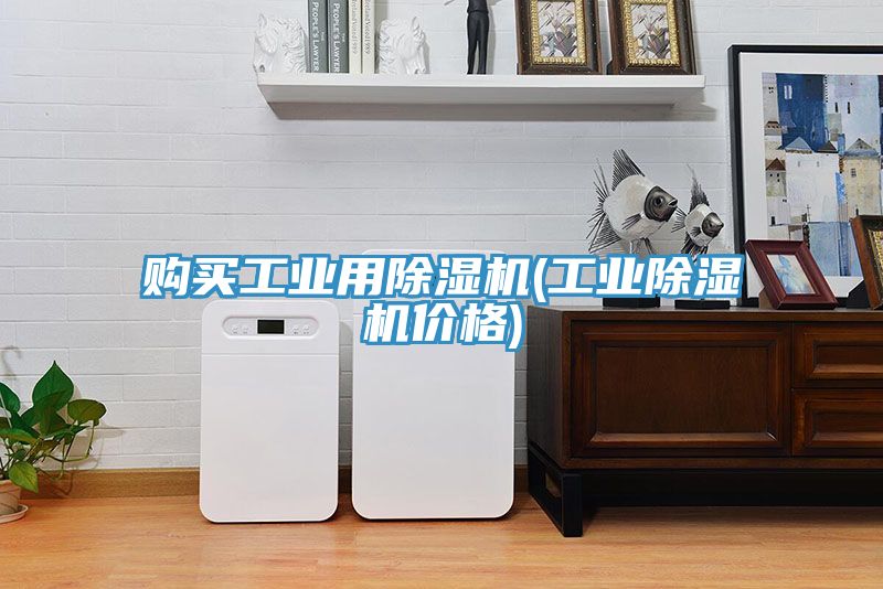 購買工業(yè)用除濕機(jī)(工業(yè)除濕機(jī)價(jià)格)