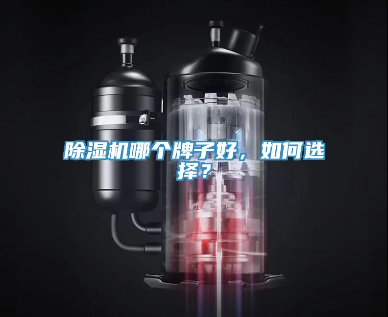 除濕機哪個牌子好，如何選擇？