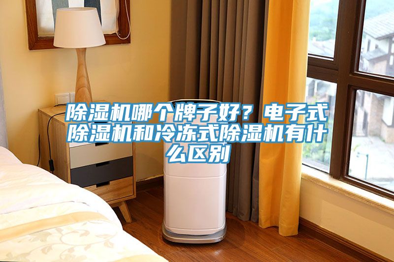 除濕機哪個牌子好？電子式除濕機和冷凍式除濕機有什么區別