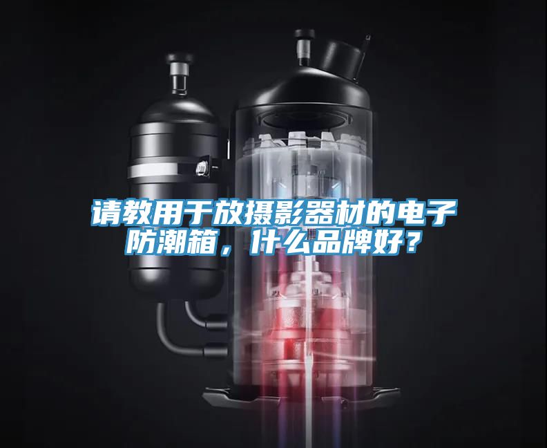 請教用于放攝影器材的電子防潮箱，什么品牌好？