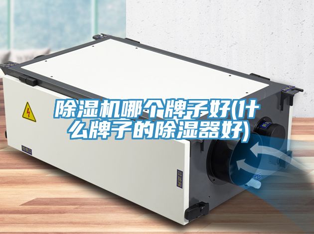 除濕機(jī)哪個(gè)牌子好(什么牌子的除濕器好)