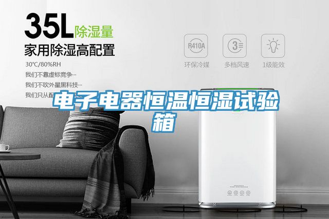 電子電器恒溫恒濕試驗箱