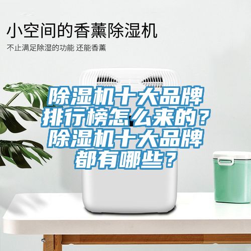 除濕機十大品牌排行榜怎么來的？除濕機十大品牌都有哪些？
