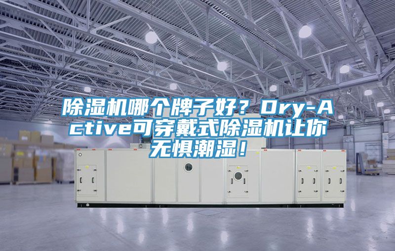 除濕機哪個牌子好？Dry-Active可穿戴式除濕機讓你無懼潮濕！