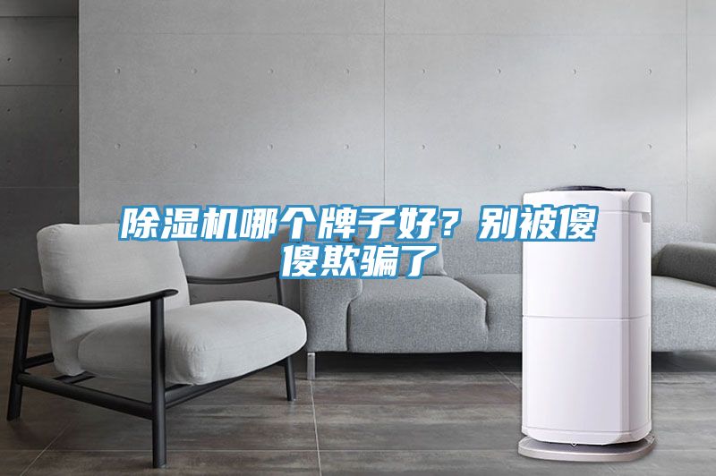 除濕機哪個牌子好？別被傻傻欺騙了
