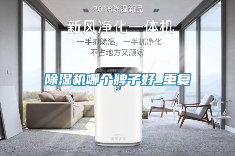 除濕機(jī)哪個(gè)牌子好_重復(fù)