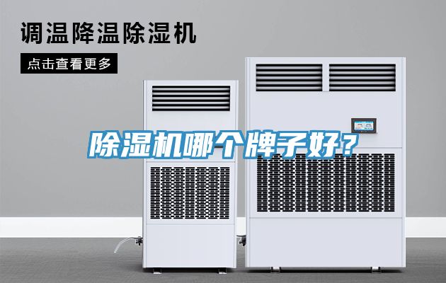 除濕機哪個牌子好？