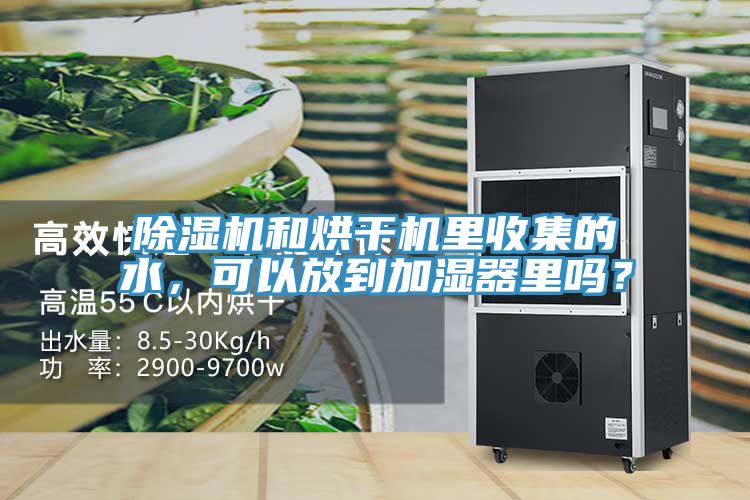 除濕機(jī)和烘干機(jī)里收集的水,可以放到加濕器里嗎?