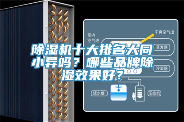 除濕機(jī)十大排名大同小異嗎？哪些品牌除濕效果好？