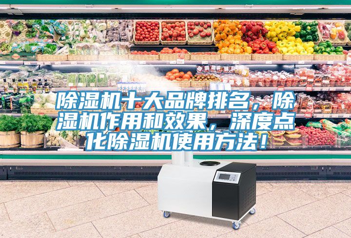 除濕機(jī)十大品牌排名，除濕機(jī)作用和效果，深度點(diǎn)化除濕機(jī)使用方法！