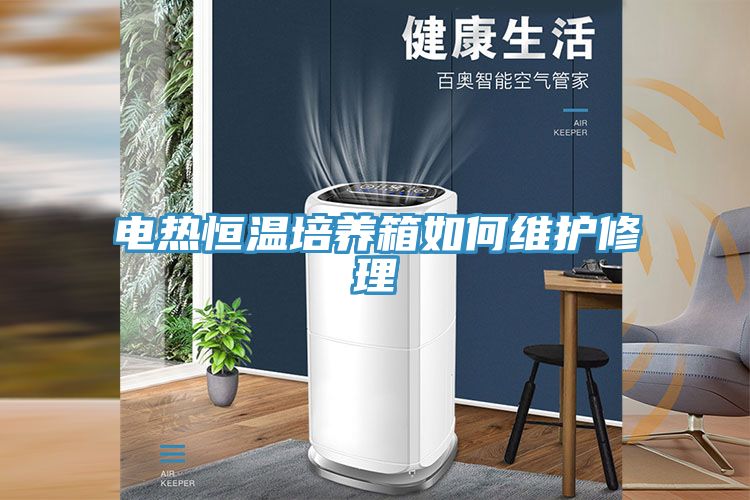 電熱恒溫培養箱如何維護修理