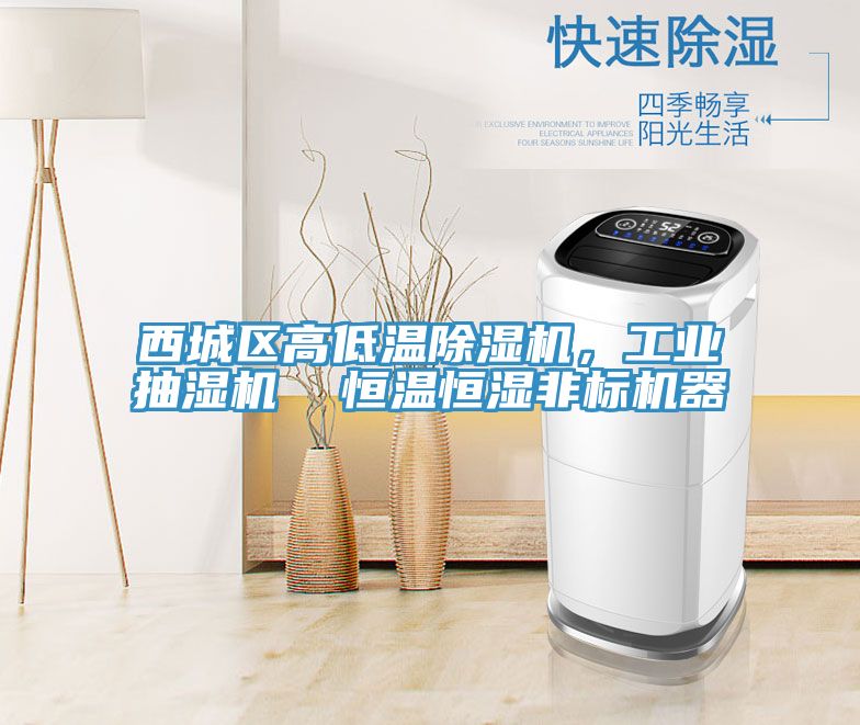 西城區高低溫除濕機，工業抽濕機  恒溫恒濕非標機器