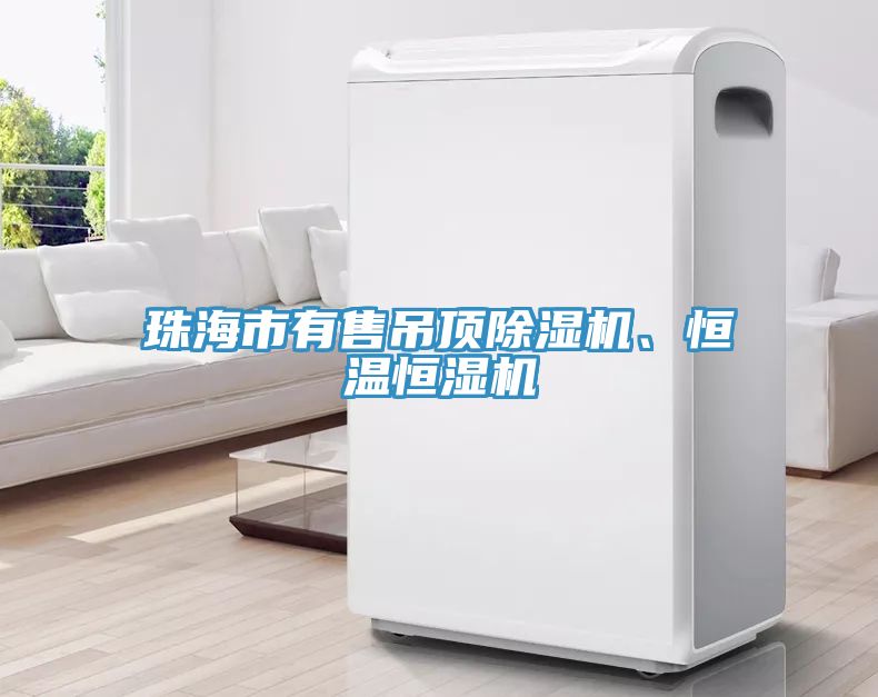 珠海市有售吊頂除濕機、恒溫恒濕機