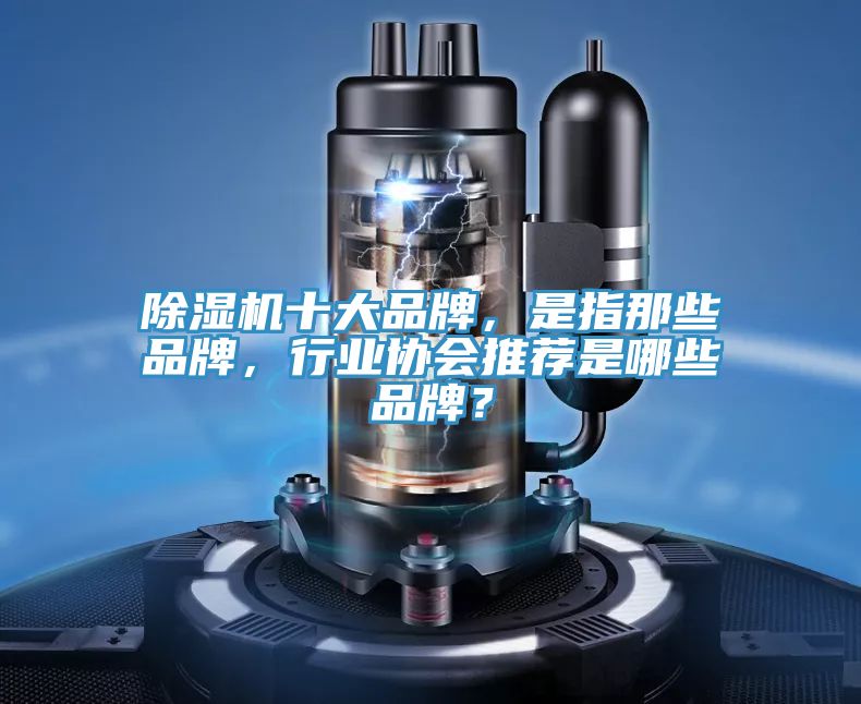 除濕機十大品牌，是指那些品牌，行業協會推薦是哪些品牌？