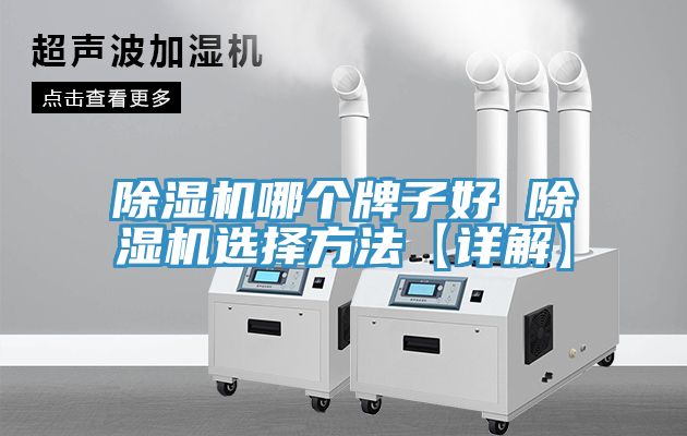 除濕機(jī)哪個(gè)牌子好 除濕機(jī)選擇方法【詳解】