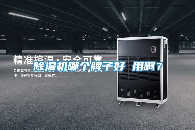 除濕機(jī)哪個(gè)牌子好 用啊？