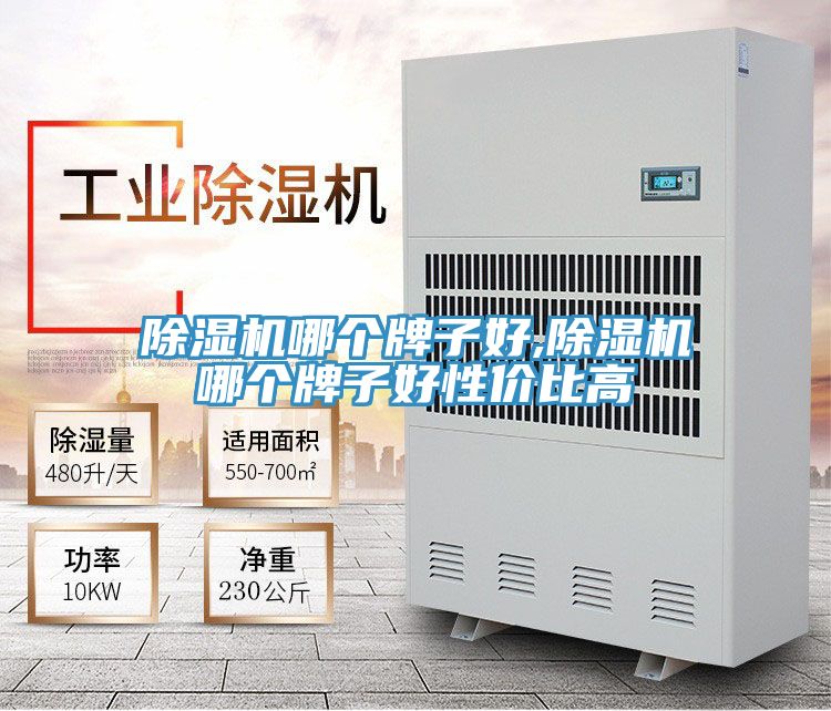 除濕機(jī)哪個(gè)牌子好,除濕機(jī)哪個(gè)牌子好性價(jià)比高