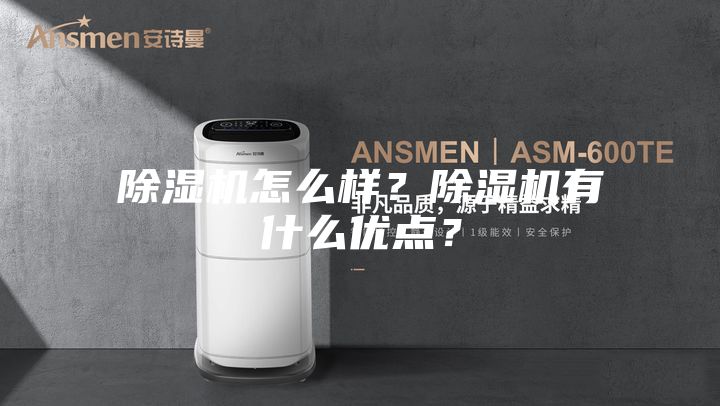 除濕機怎么樣？除濕機有什么優點？