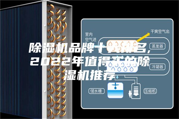 除濕機(jī)品牌十大排名,2022年值得買的除濕機(jī)推薦