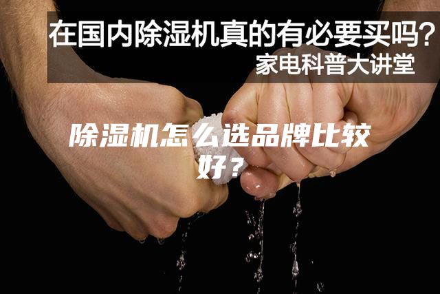 除濕機怎么選品牌比較好？