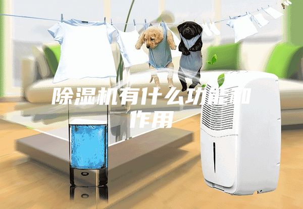 除濕機有什么功能和作用