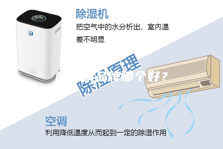 除濕機品牌哪個好？