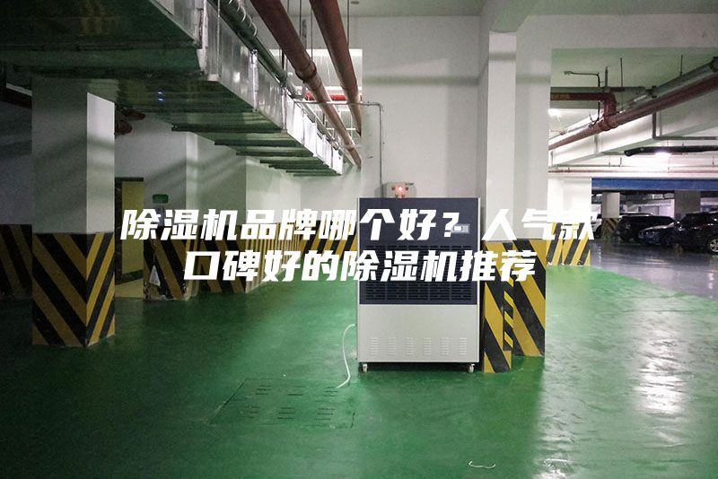 除濕機品牌哪個好？人氣款口碑好的除濕機推薦