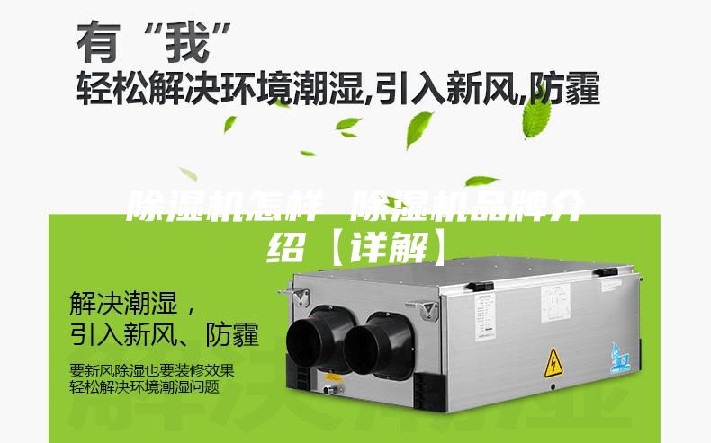 除濕機怎樣 除濕機品牌介紹【詳解】