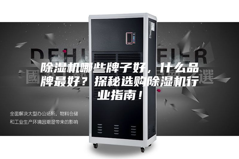除濕機(jī)哪些牌子好，什么品牌最好？探秘選購(gòu)除濕機(jī)行業(yè)指南！