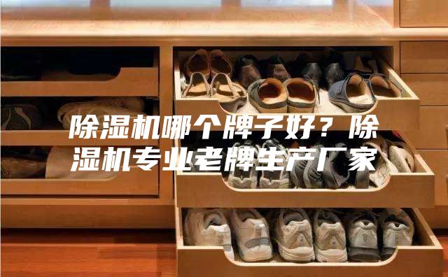 除濕機(jī)哪個(gè)牌子好？除濕機(jī)專業(yè)老牌生產(chǎn)廠家