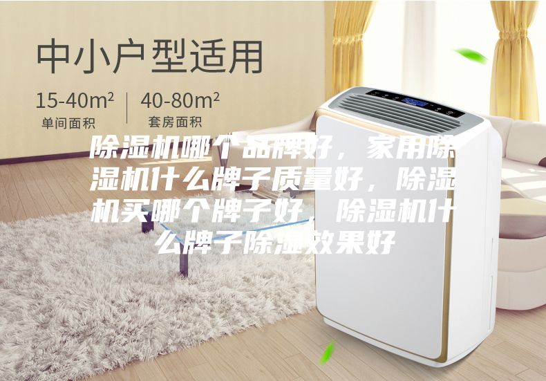 除濕機(jī)哪個(gè)品牌好，家用除濕機(jī)什么牌子質(zhì)量好，除濕機(jī)買哪個(gè)牌子好，除濕機(jī)什么牌子除濕效果好